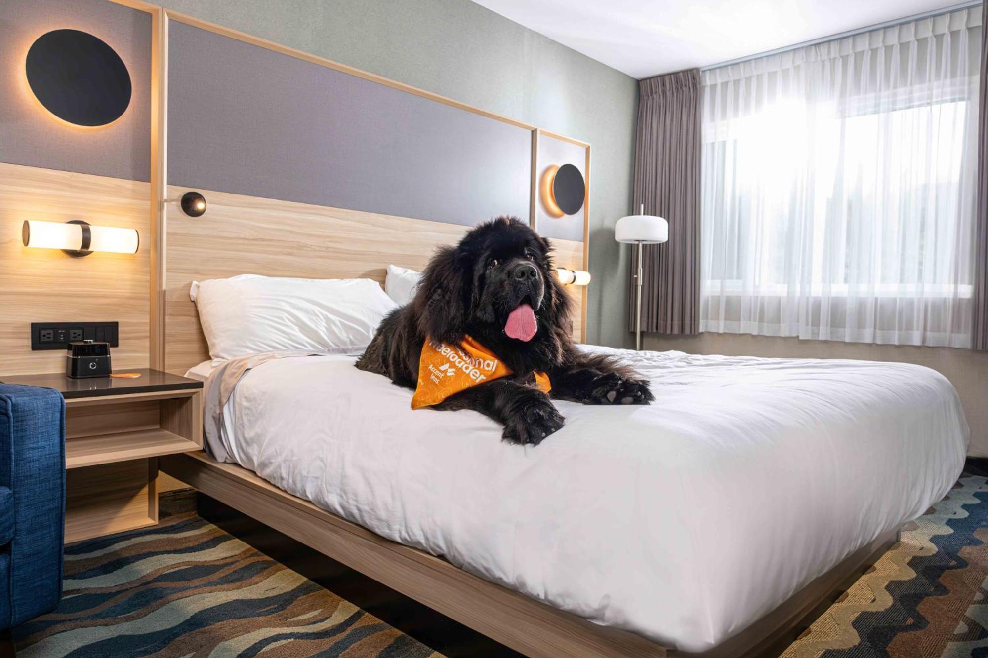 Accent Inns Vancouver Airport Ρίτσμοντ Εξωτερικό φωτογραφία