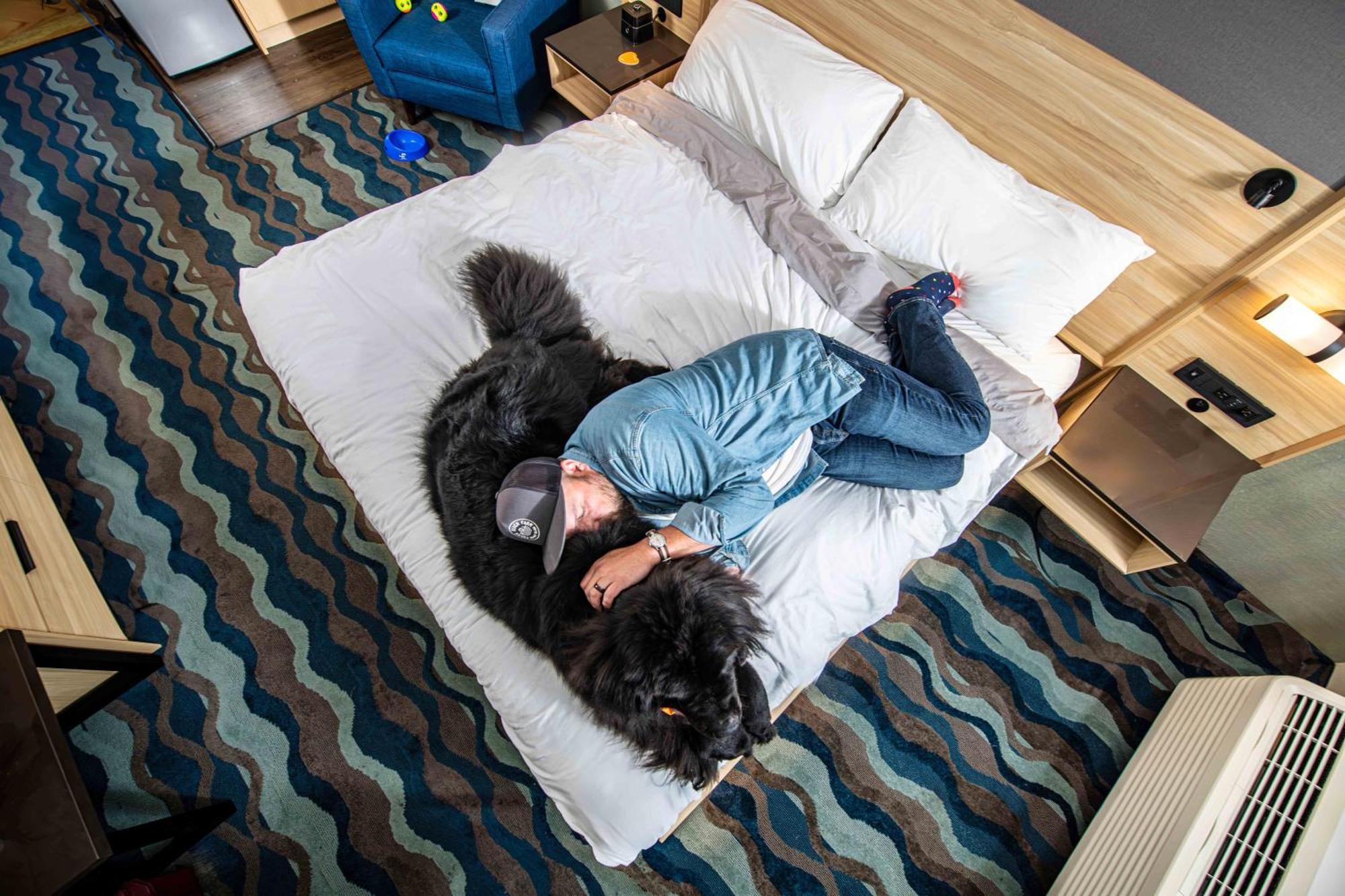Accent Inns Vancouver Airport Ρίτσμοντ Εξωτερικό φωτογραφία