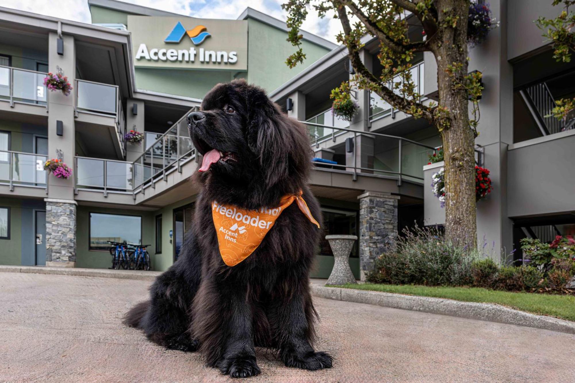Accent Inns Vancouver Airport Ρίτσμοντ Εξωτερικό φωτογραφία